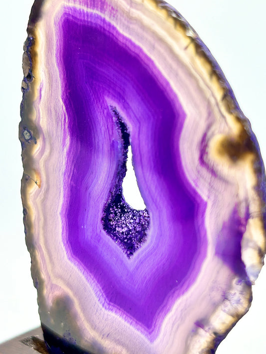 Violette Aura - Achat Ständer